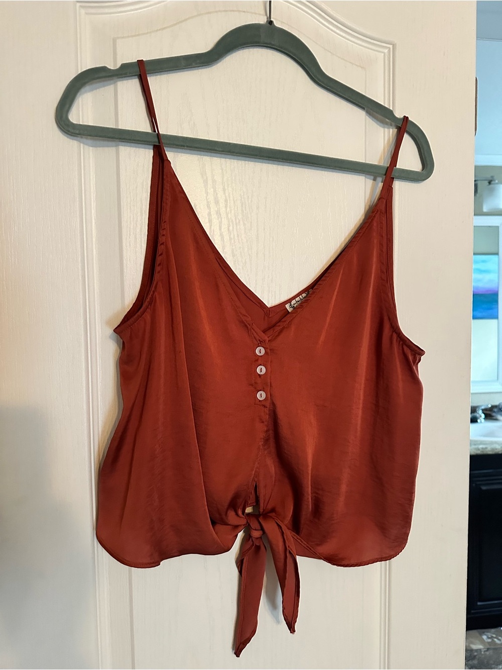 Free People Rust Red Satin Tie-Front Cami